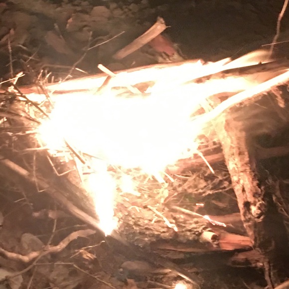 Meet your Posher, Lyss - Picture 1 of 1